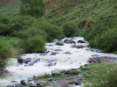 生 态 山 水 游