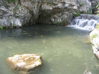 响 水 湖