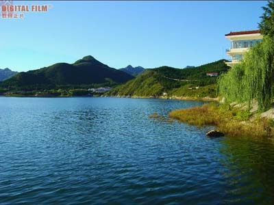 雁 栖 湖