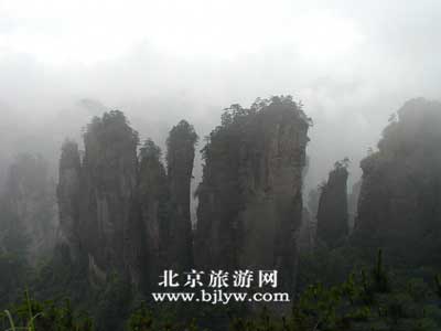 张 家 界