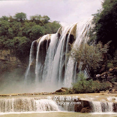 黄 果 树
