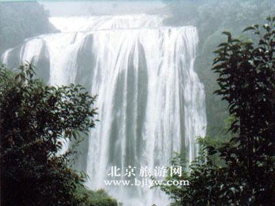 黄 果 树