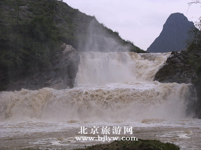 黄 果 树