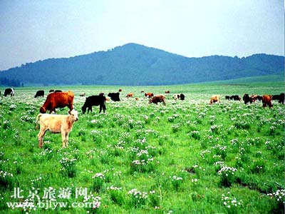 木 兰 围 场