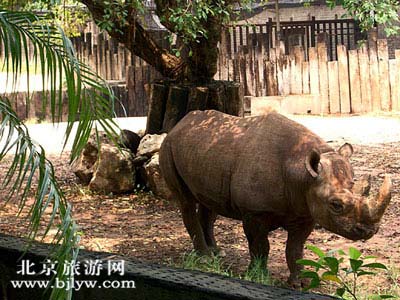 八 达 岭 野 生 动 物 园