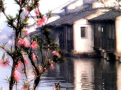 乌 镇